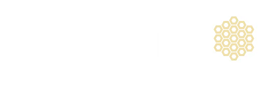 Bugno Beratungen GmbH